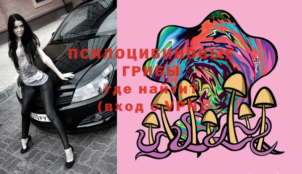 трава Абаза
