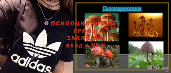 трава Абаза