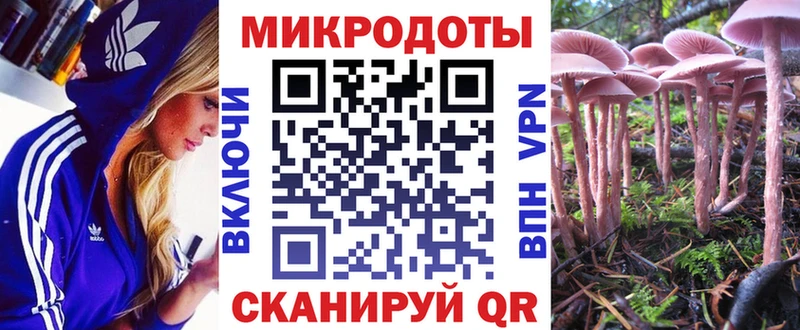 Псилоцибиновые грибы Psilocybe  блэк спрут сайт  Терек 