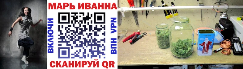 Канабис сатива  Терек 